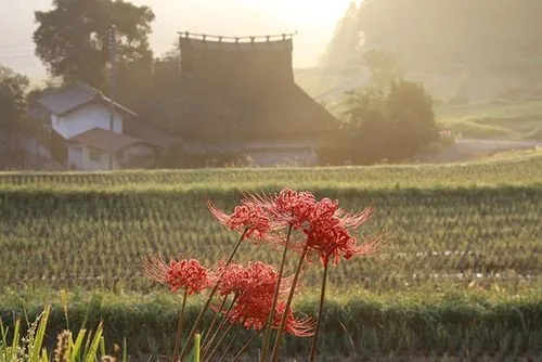 能勢の里山風景