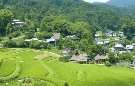 能勢町の棚田